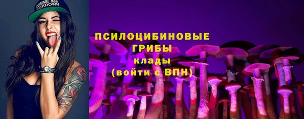 молекула духа Беломорск